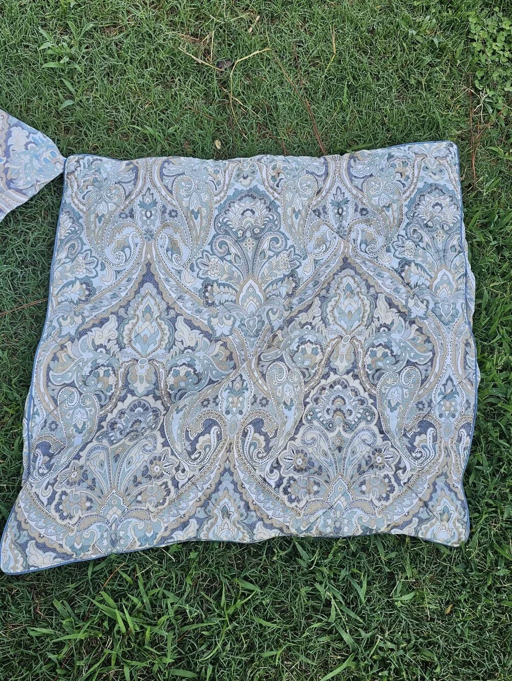 Pottery Barn McKenna Paisley Blue Organic Cotton King Sham Euro Quilted Set Read